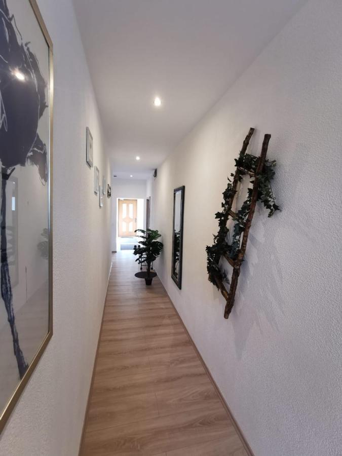 Hilter Pension Am Steinbruch المظهر الخارجي الصورة