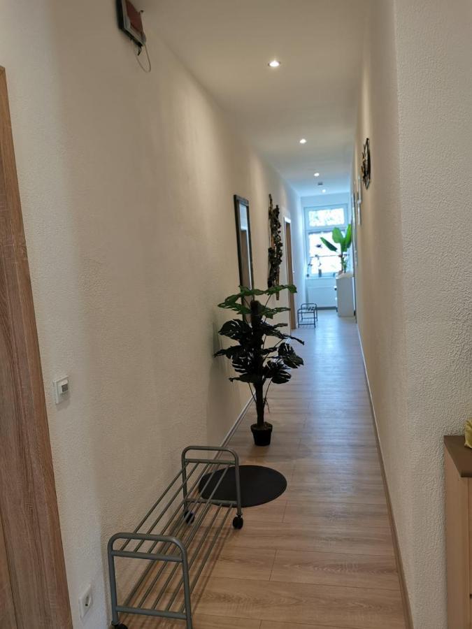 Hilter Pension Am Steinbruch المظهر الخارجي الصورة